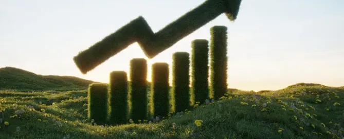 Blog Enhanced Cash Flow